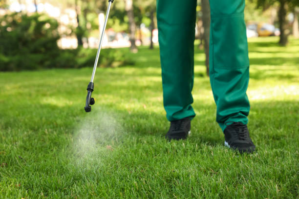 Best Termite Control Services  in Woodlawn, OH