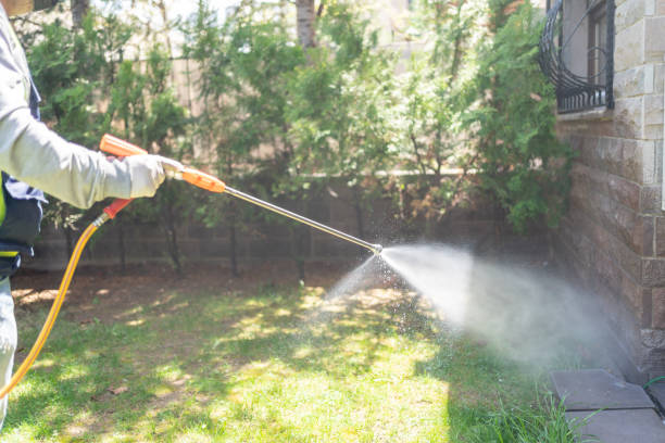 Best Residential Pest Control  in Woodlawn, OH