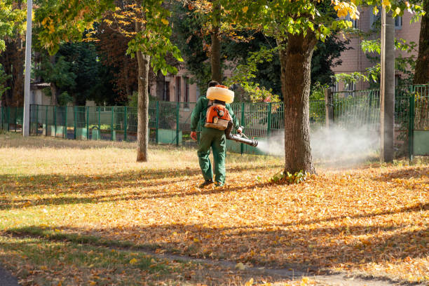 Best Mosquito Control Services  in Woodlawn, OH