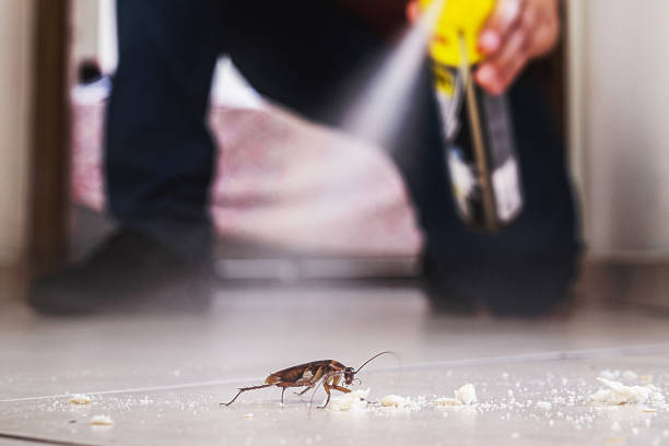 Best Residential Pest Control  in Woodlawn, OH
