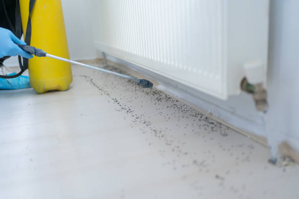 Best Pest Inspection Near Me  in Woodlawn, OH