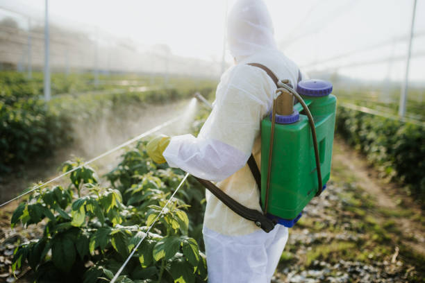 Best Bed Bug Extermination  in Woodlawn, OH